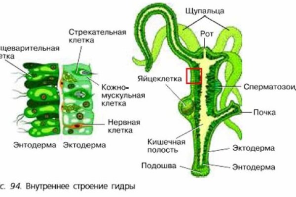 Кракен найдется все