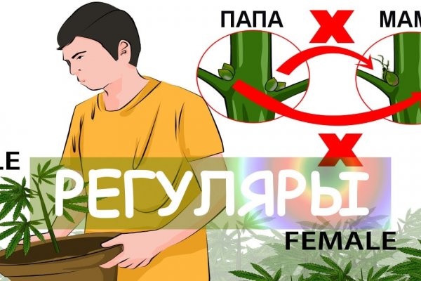 Kraken в россии